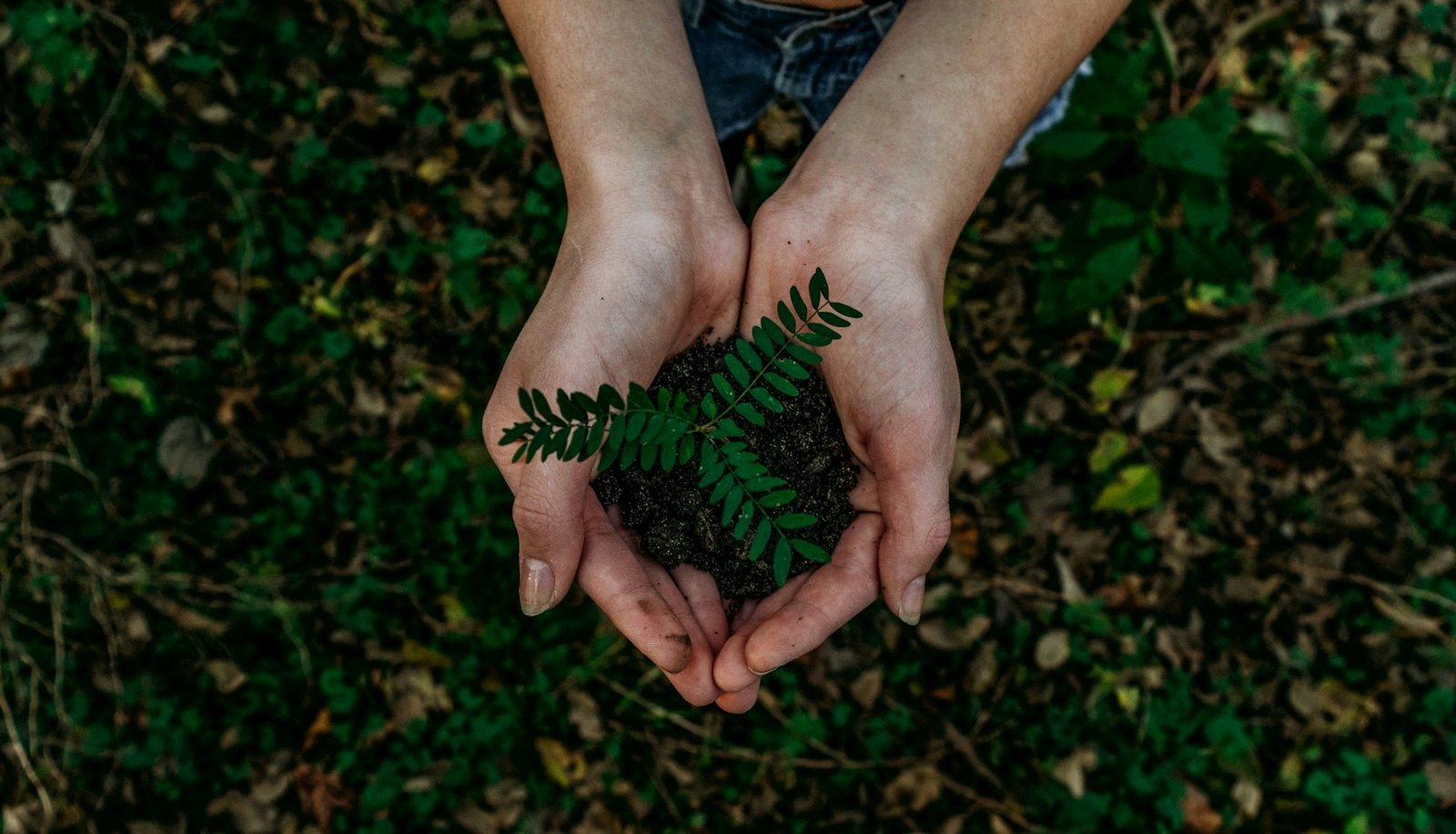 Sustainable circular IT asset management